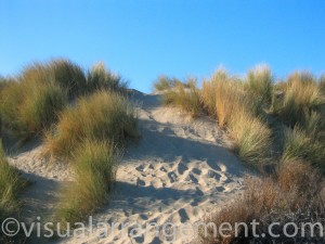 Dune Path