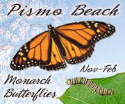 Pismo Beach online ad